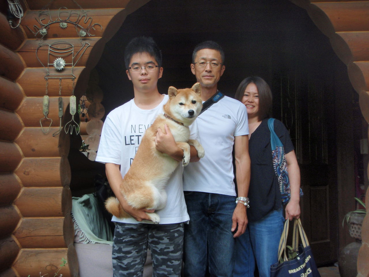 柴犬のラムちゃん お泊りのペットのおともだち紹介 柴犬のラムちゃん お泊りのペットのおともだち紹介