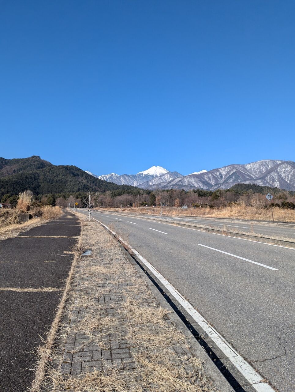 PXL_20250215_004238984