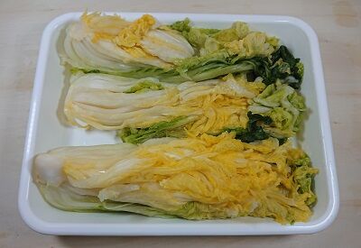白菜12