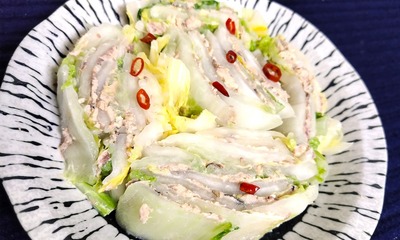 白菜231116-1
