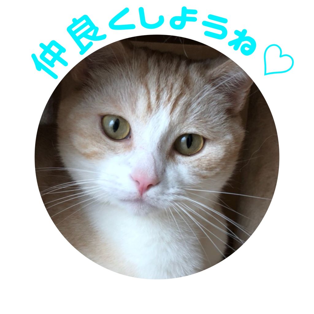ペットホテル アムラン In旭川