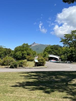 IMG_8739