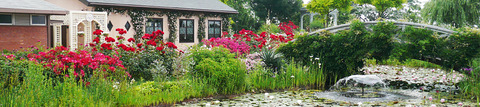 vision_sub_englishgarden