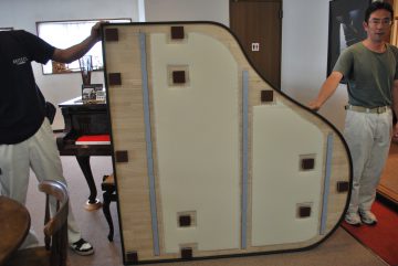 f7446851d6fce3057afbc9f16375e8f4-360x241