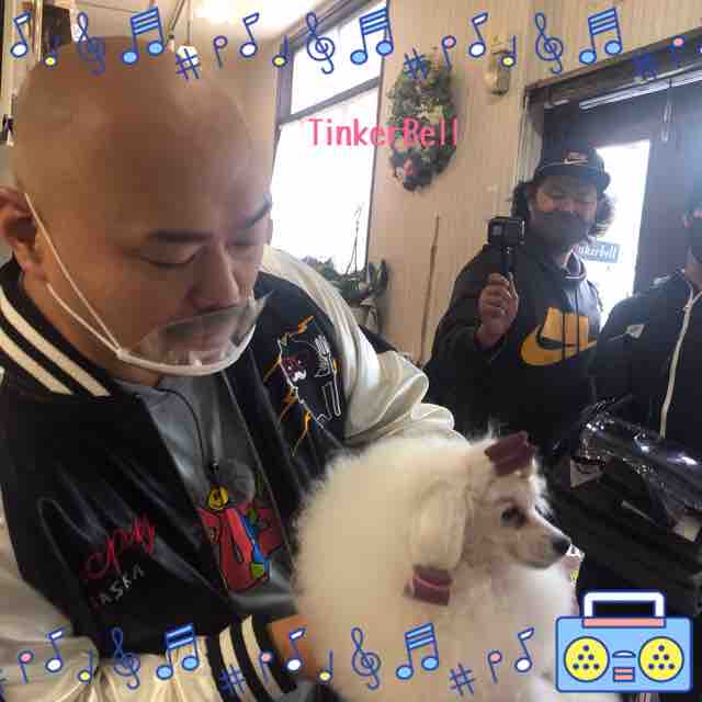 レンタル クロちゃん 笑 ないしょ