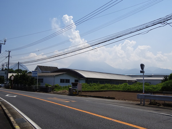DSC09548