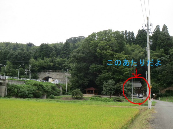 BlogPaint