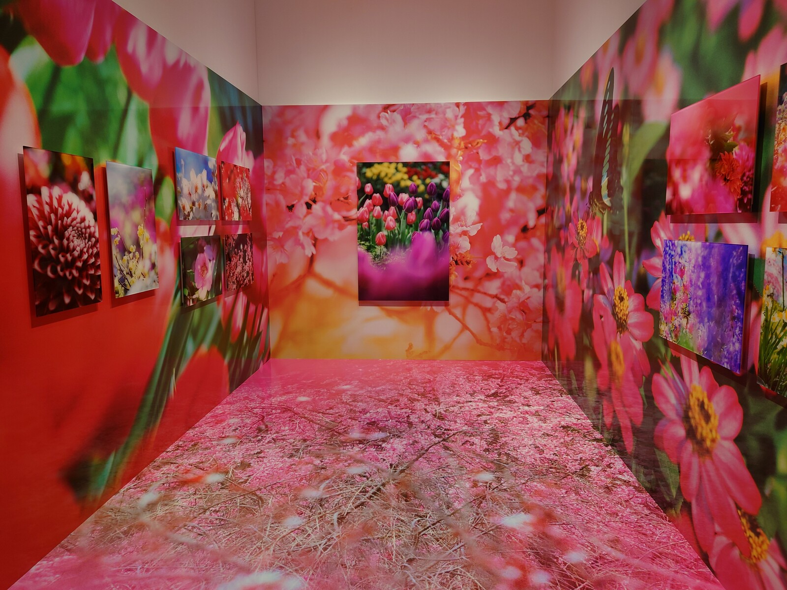 富山県美術館の蜷川実花展で蜷川ワールドにひたる 富山で飲み食い おぼえ書きブログ 富山県美術館の蜷川実花展で蜷川ワールドにひたる 富山で飲み食い おぼえ書きブログ