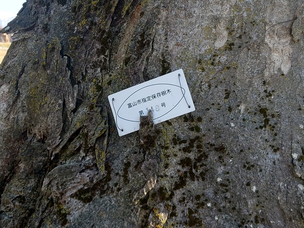 20231230_113526
