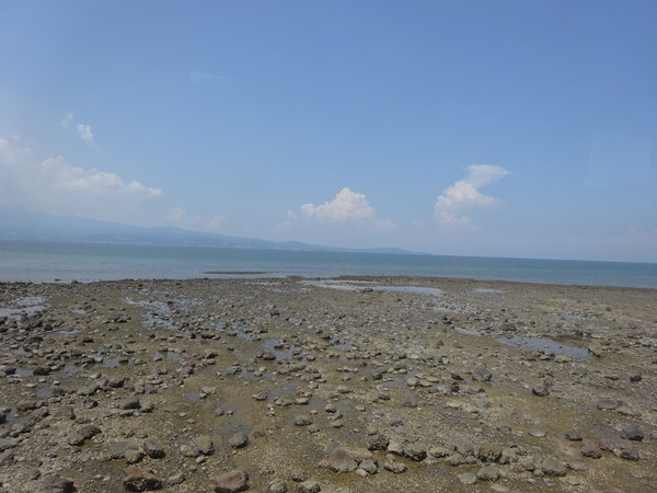 DSC09541