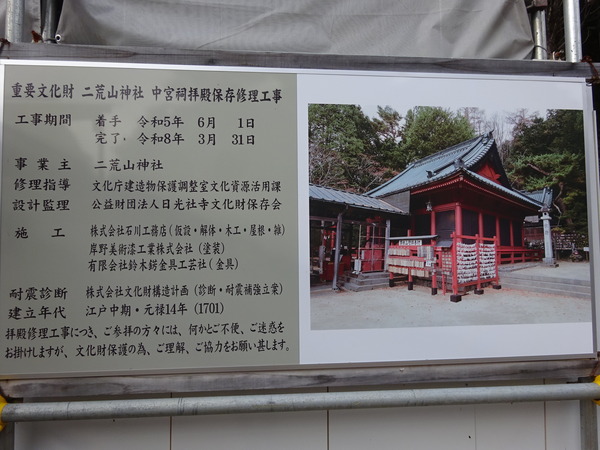 DSC01554