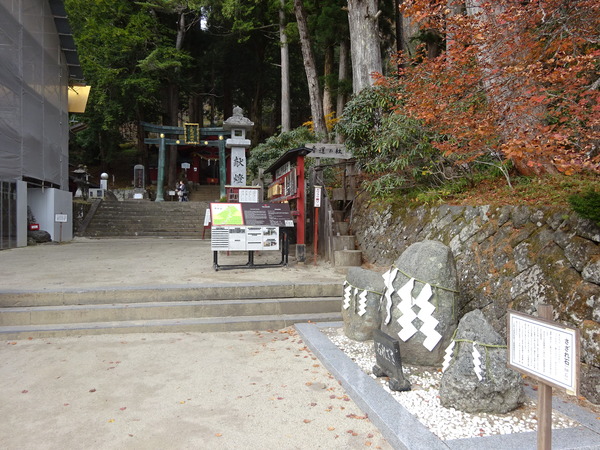 DSC01561
