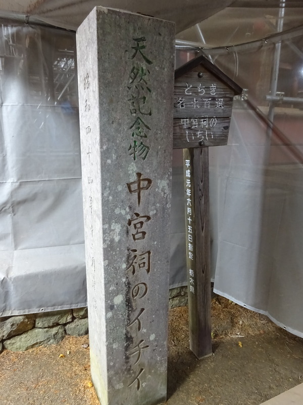 DSC01558