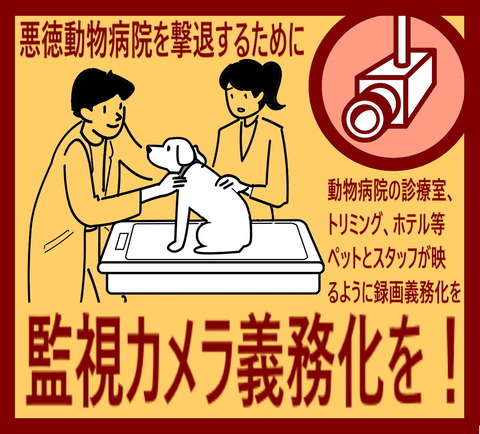 450-20210313121507201025w4t