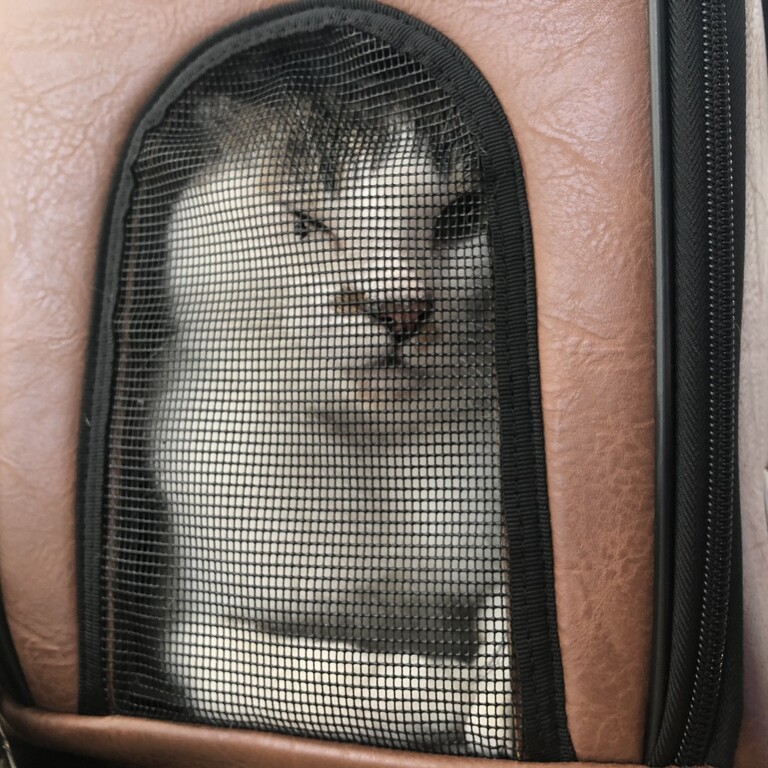 29E93B2E-DD92-4179-BD34-012F47FAA522