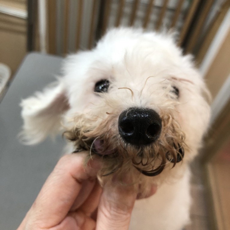 A7876695-24CB-4693-ABDB-817B4DB0975E