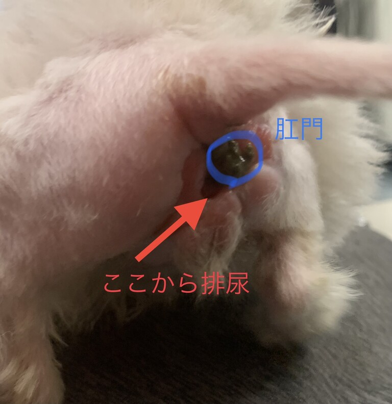 C922DE47-6E2B-4359-A081-9DE241D151F1