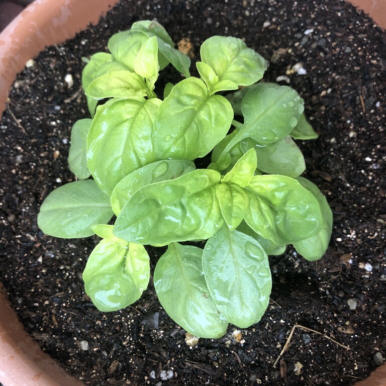 065BC3A5-794B-4F1B-859E-5ECB88778B12