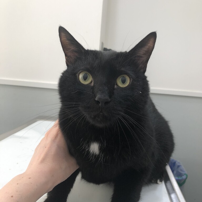 342F2A46-2AB3-413A-B9E8-F4B49498EACA