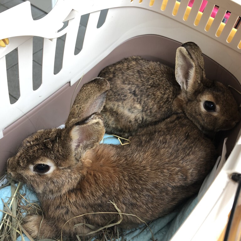 0187C138-CCD2-4C2C-B4F6-64C1C6EC6199