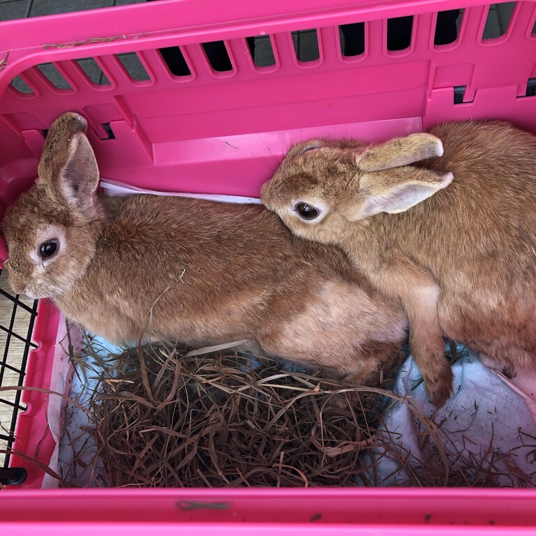 A2F58DED-2988-41A9-8CBA-FD110FFC12BE