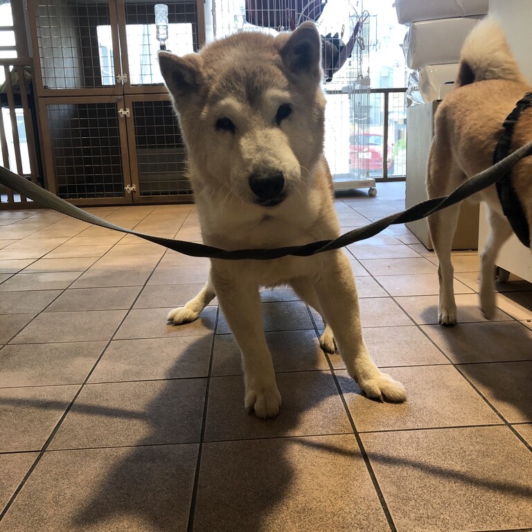 3806A957-2C27-4FE7-9DC5-82FC805B301E