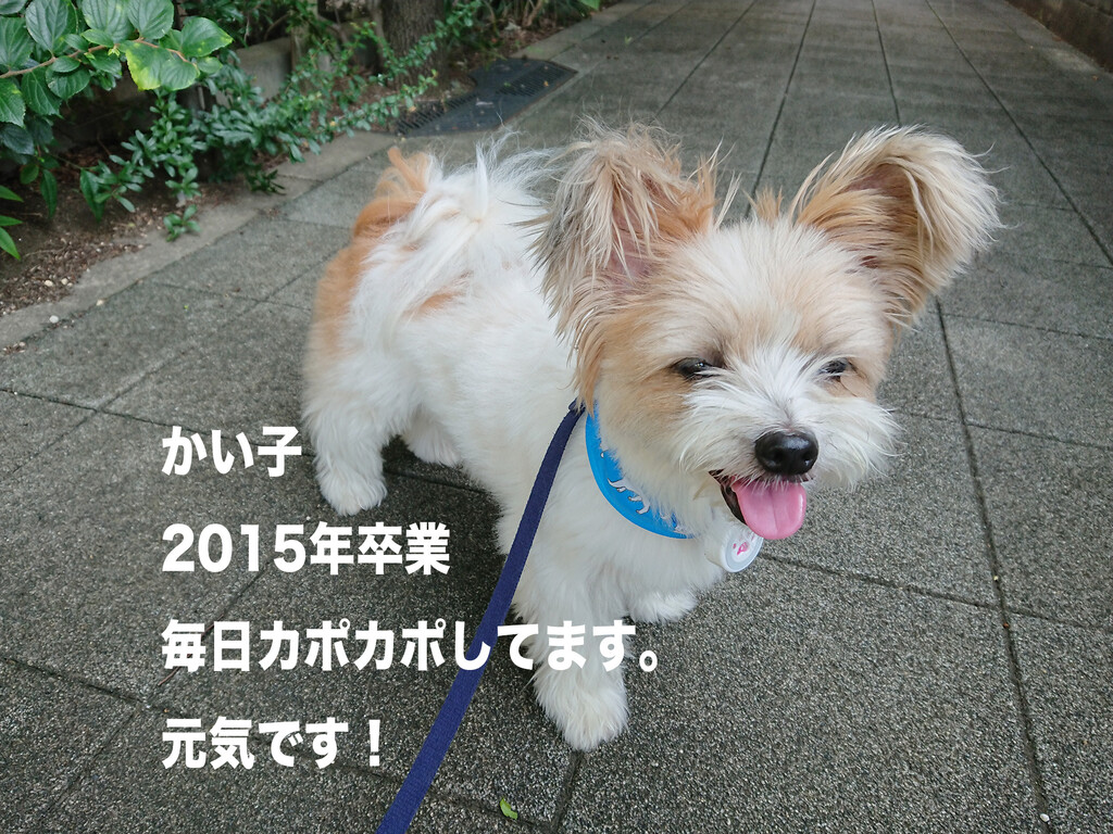 D94D6C07-94DE-4405-B0E2-DAE7B07E10E0