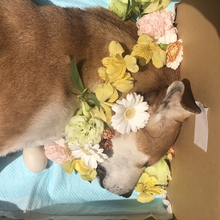 762BD53A-736C-4A87-A67C-C00017B8EE94