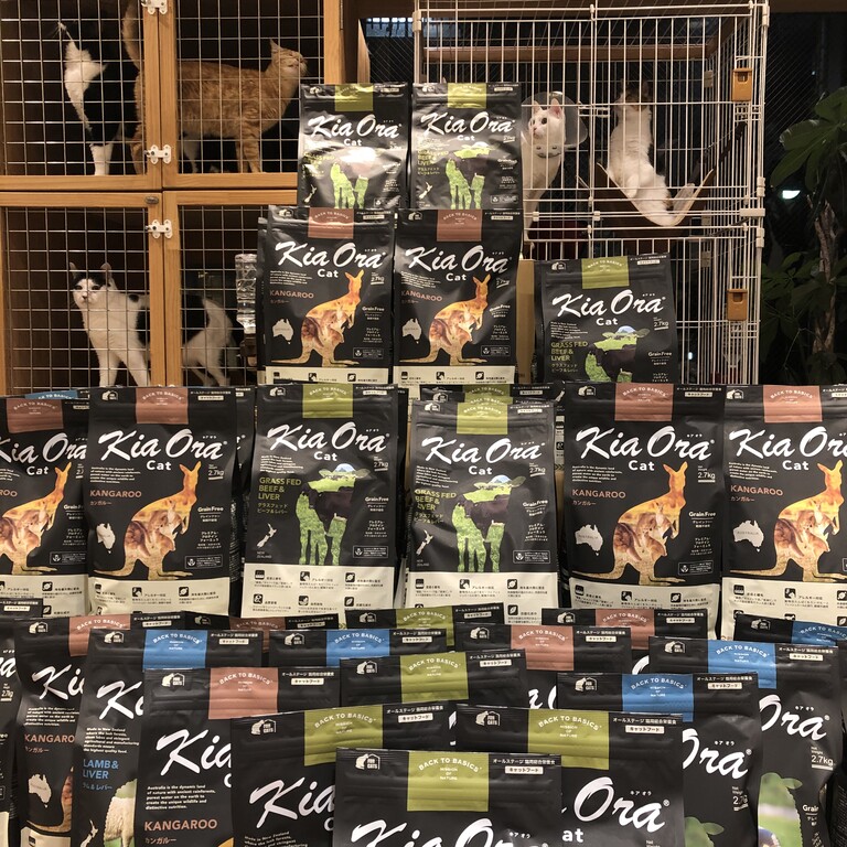 9C4EDE22-BE7C-4E45-86BE-7697659476CE