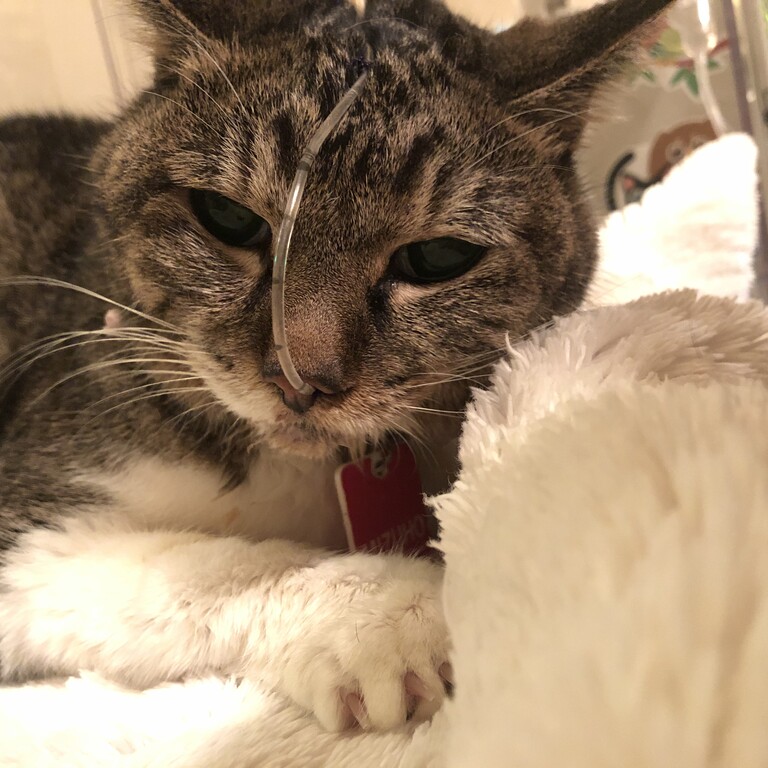 FFACDD8F-3959-4071-BA59-2DD5BA1D83A4