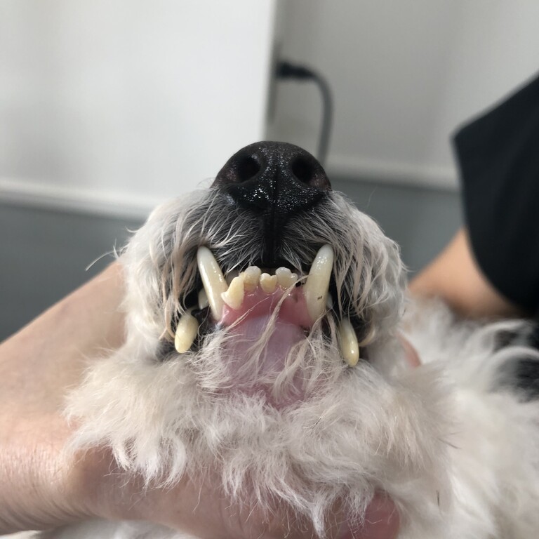 4188CFDC-9A6B-47FC-A9E2-72BFE4AC4156