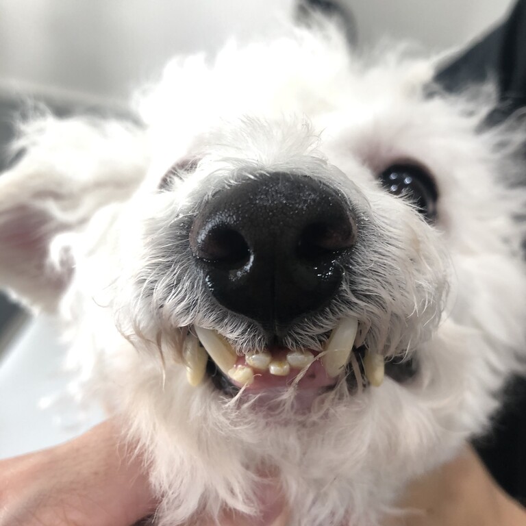 6F391FD0-E9C6-4152-8085-351BB1E087ED