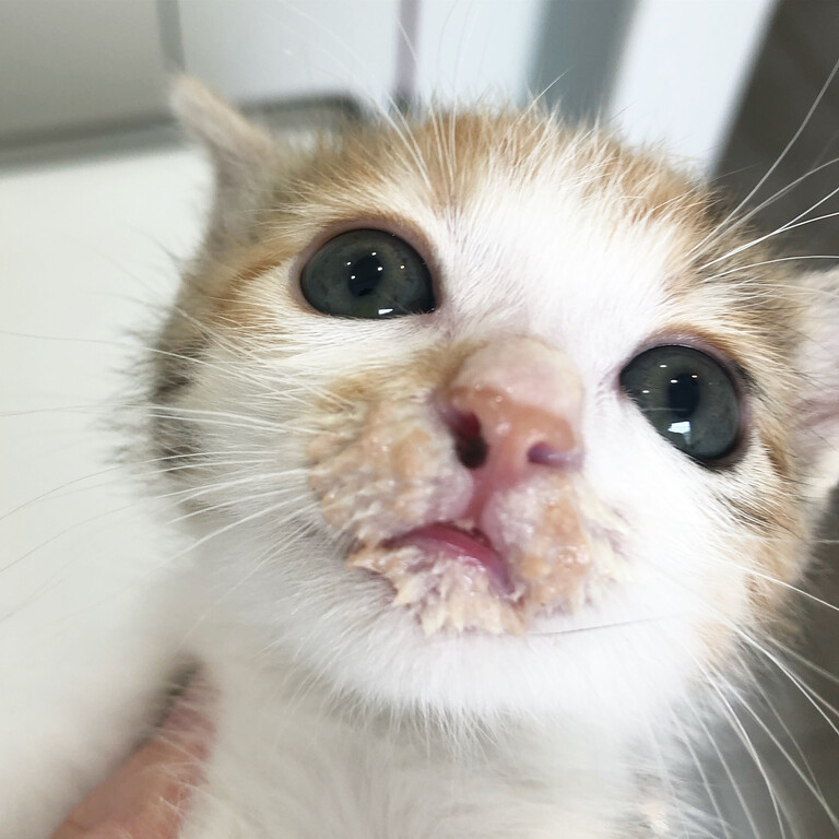 32B7111C-4330-48FE-85F3-017ED1099C26