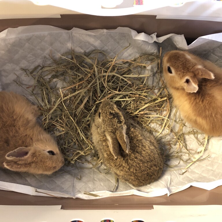 6351C604-C304-462D-BDEE-BABA0D663D8B