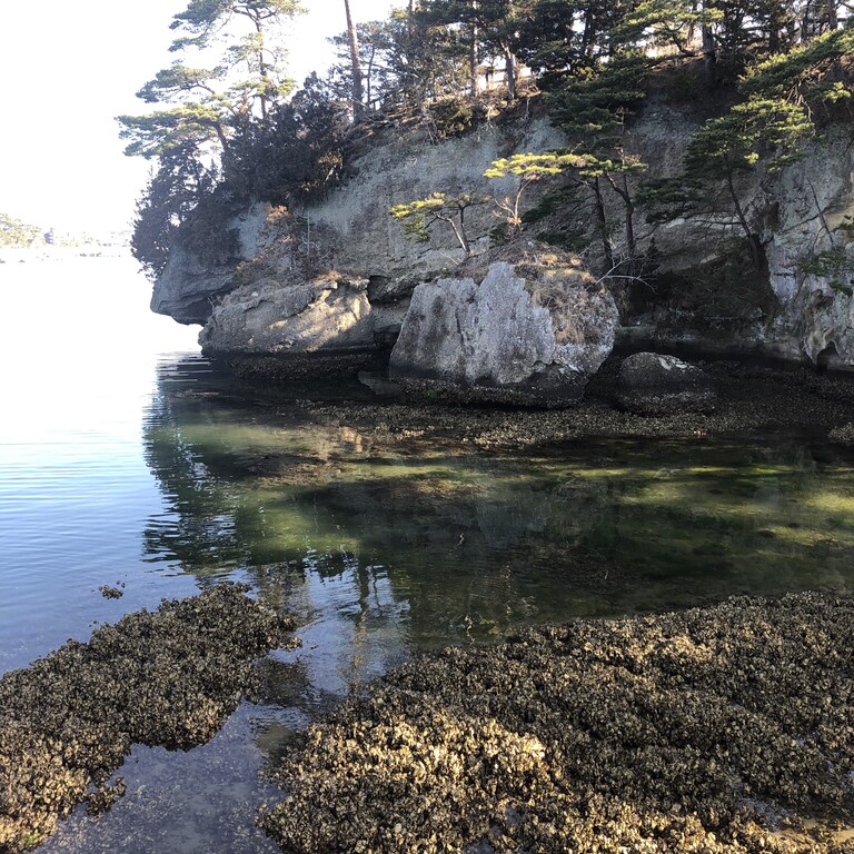 84F29244-F5EA-45F7-A4D8-A626239DEEE1