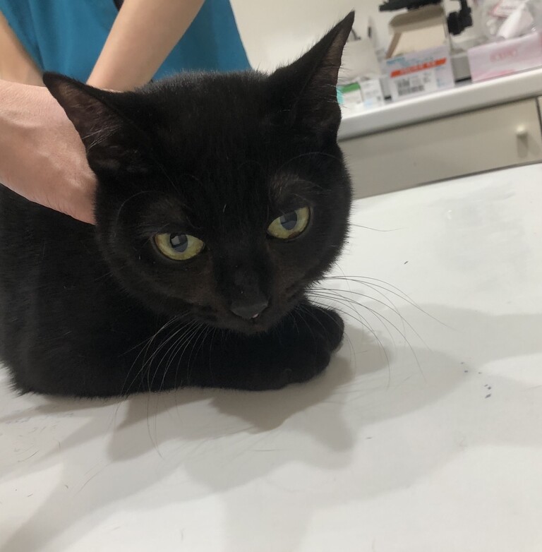 24C2A51F-D365-44ED-94CB-01CC8F0644A8