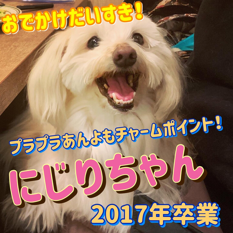 6D87F707-D5FE-4D8D-9E0C-A7BAC83EA876