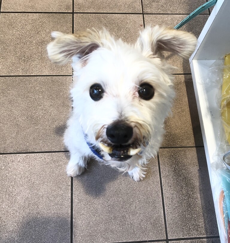 E7C04590-6DFB-48CF-A368-033A16931255