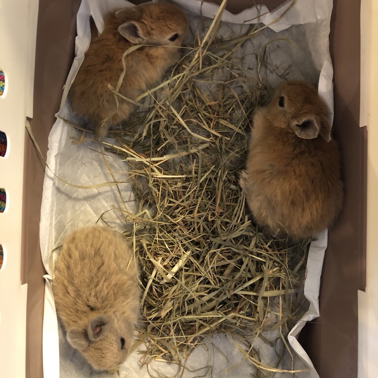 EED0A01A-1FAE-4180-B946-D2ECA19E93D5