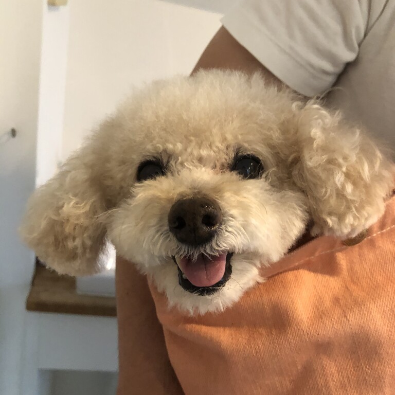 B3A16304-D17A-460C-ACC6-4B076E0402BC