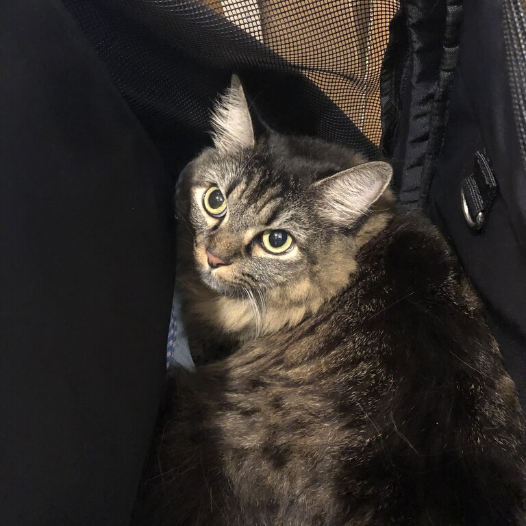 7C4E0FA6-D586-4739-B2DE-77659D83E355