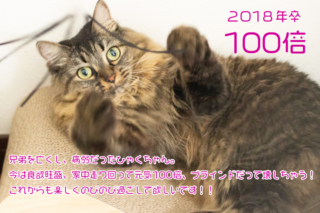 AA76FAF2-49B5-4C8B-BEDD-B7B2FE7C9CBC