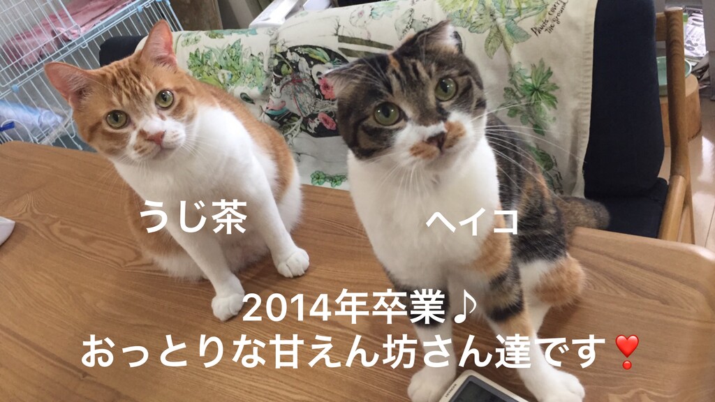 93619957-F9A8-49BD-AD22-767EE2282AD7