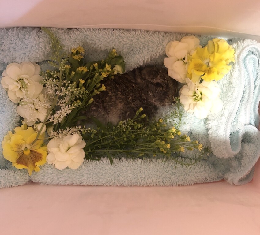 1675954B-3D9A-48E1-84B9-B76777D5DD6F