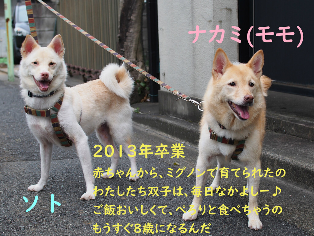 29F32064-9E82-4ECD-A232-97178BADA976