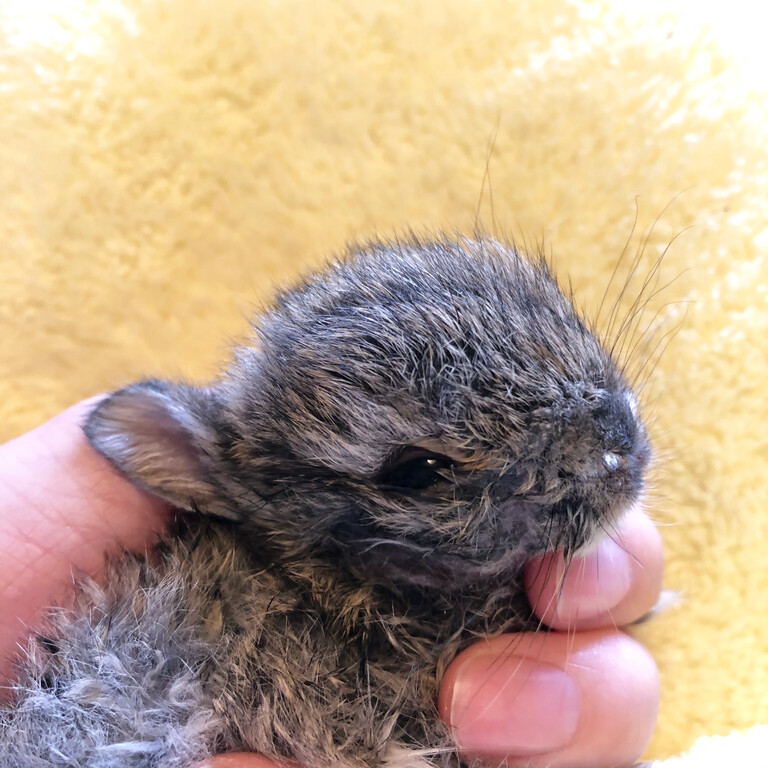 680A0685-46CE-4D19-8A96-C0C24BA83F84