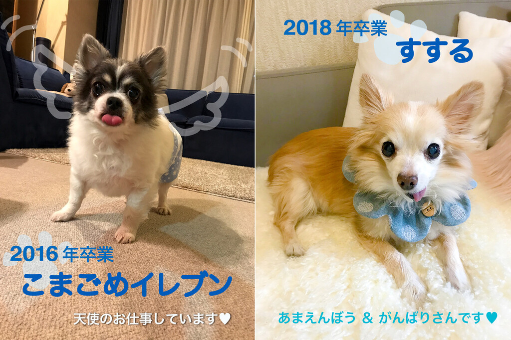 B5A50F1E-A40F-4012-A28E-CC068A52ECEF