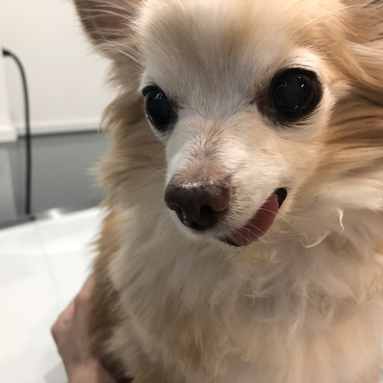 0BEDB2E2-4250-418F-A284-E1CBA1F7F848