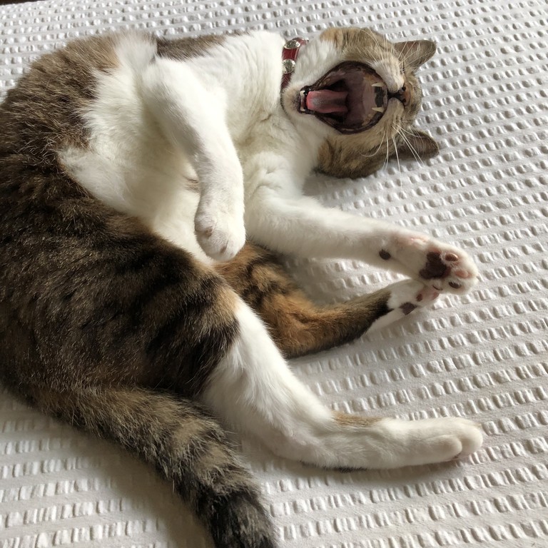 CB376127-400C-4031-B241-E001F14687BC