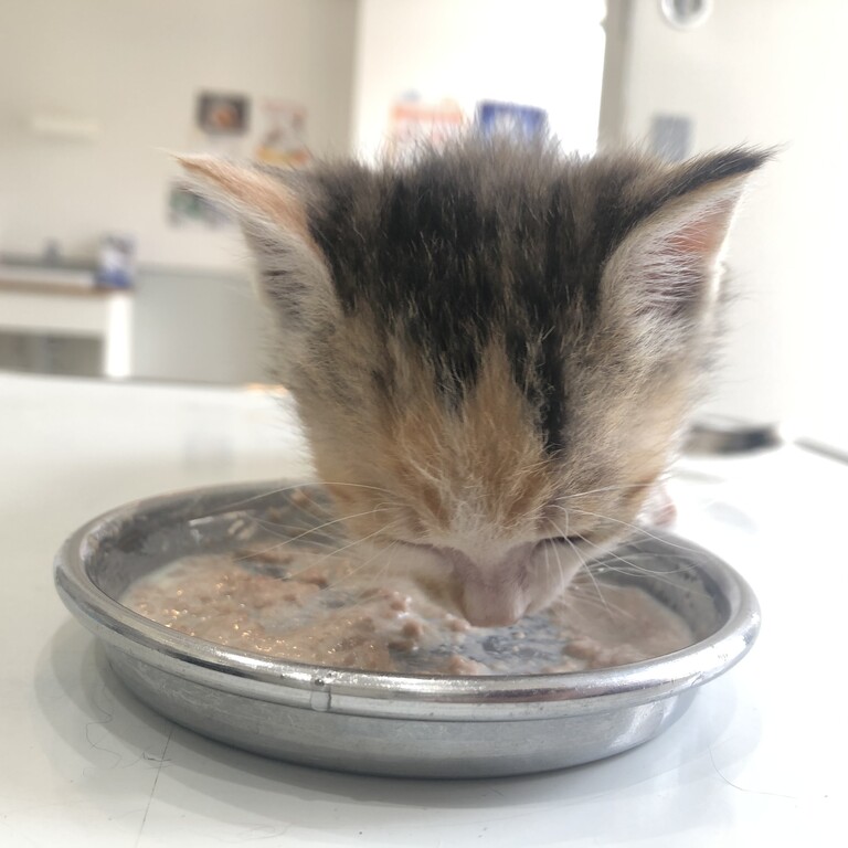 0B7BD37B-87DD-4821-86ED-C7B279A8201F